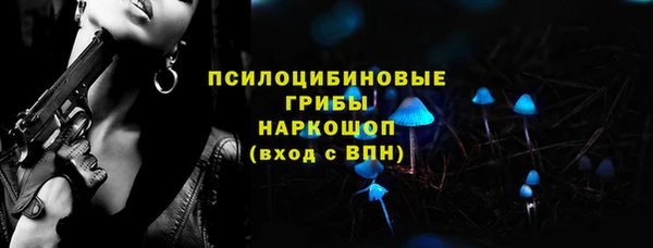 мет Алексин