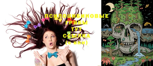 Альфа ПВП Алексеевка