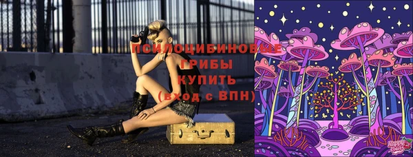 не бодяженный Алзамай