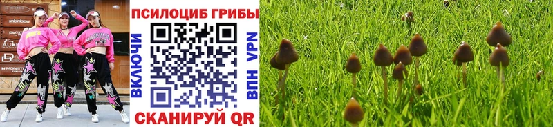 купить наркотики цена  Алупка  Галлюциногенные грибы MAGIC MUSHROOMS 