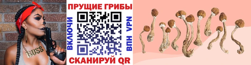 Галлюциногенные грибы MAGIC MUSHROOMS Алупка